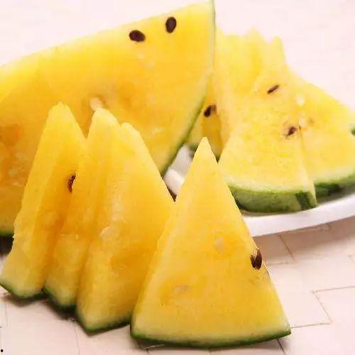 今日黑瓜吃料价格表